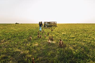 Regenerative Ag with Re.Farm - Regenerating Kansas & growing a profitable farm!
