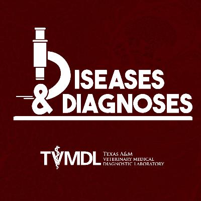 Therapeutic Drug Monitoring – Evaluating the difference between an effective dose and a toxic dose