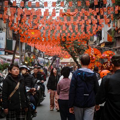 Hà Nội sống và yêu: Chợ hoa Hàng Lược - Giữ một mùa Xuân cho Hà Nội Hà Nội sống và yêu: Chợ hoa Hàng Lược - Giữ một mùa Xuân cho Hà Nội