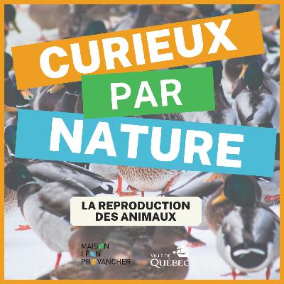 Curieux par Nature: La reproduction des animaux