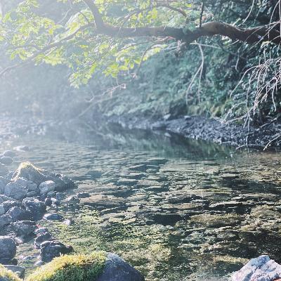 Water Prayer
