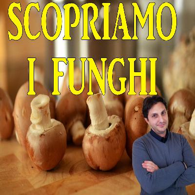 Episodio 107 - FUNGHI FANNO BENE O MALE? Alla scoperta dei funghi - Scopriamo i funghi! Episodio 107 - FUNGHI FANNO BENE O MALE? Alla scoperta dei funghi - Scopriamo i funghi!