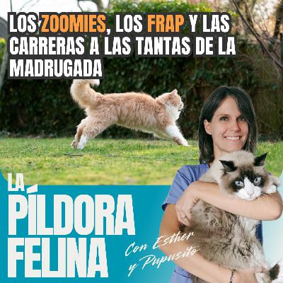 554. Los ZOOMIES, los FRAP y las CARRERAS a las tantas de la MADRUGADA 554. Los ZOOMIES, los FRAP y las CARRERAS a las tantas de la MADRUGADA