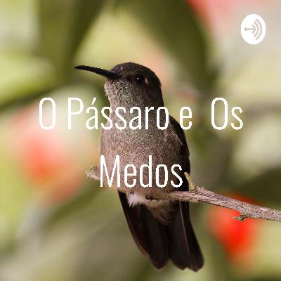 O passaro e os medos