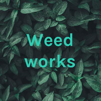 How weed works