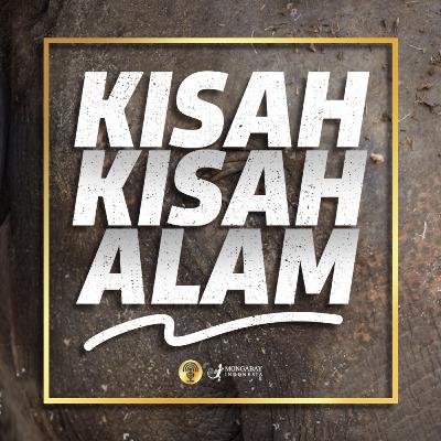 Sepuluh Tahun Lagi Tersisa Untuk Menyelamatkan Gajah Sumatera, Apa yang Bisa Dilakukan Sekarang?