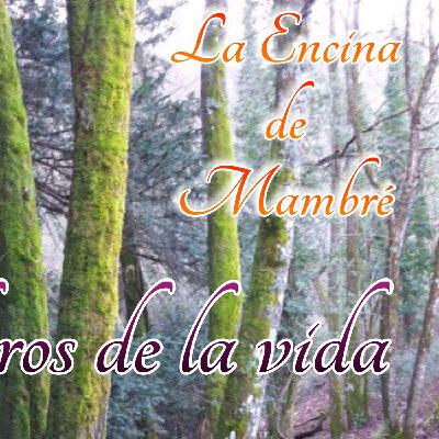 Los senderos de la vida