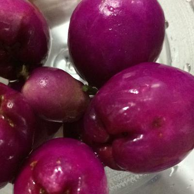 La receta intelectual