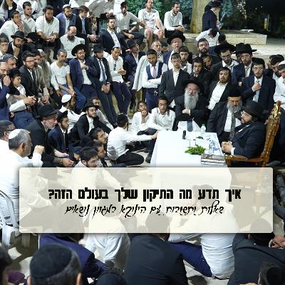 איך תדע מה התיקון שלך בעולם הזה - שאלות ותשובות עם הגאון הינוקא לאחר סעודה שלישית מול חומות ירושלים