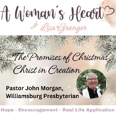 Promises of Christmas, John Morgan: Christ in Creation Promises of Christmas, John Morgan: Christ in Creation