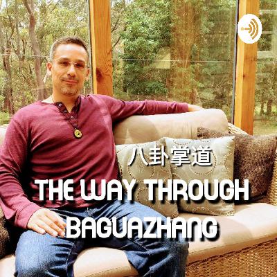 302. I am a real Baguazhang Kungfu master…