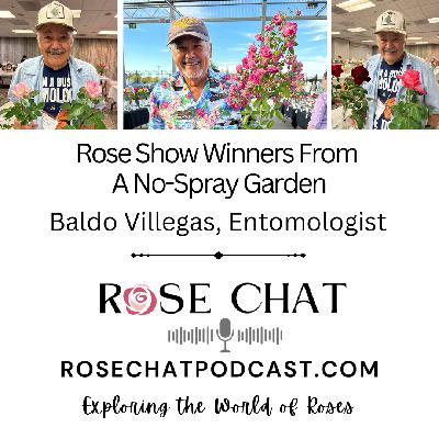 ROSE SHOW WINNERS FROM A NO-SPRAY GARDEN ROSE SHOW WINNERS FROM A NO-SPRAY GARDEN