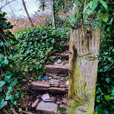 Interesting Junk Interesting Junk