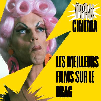 LES MEILLEURS FILMS SUR LE DRAG LES MEILLEURS FILMS SUR LE DRAG