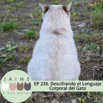 Ep 236 Lenguaje Corporal de Tu Gato