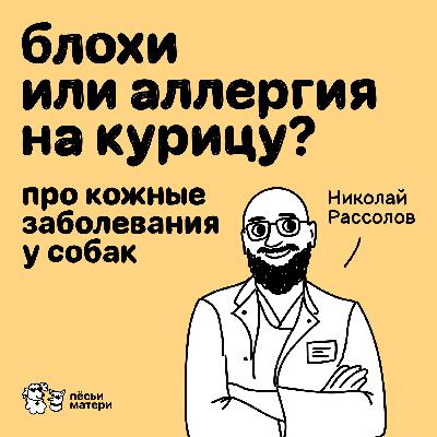 Блохи или аллергия на курицу? Про кожные заболевания у собак