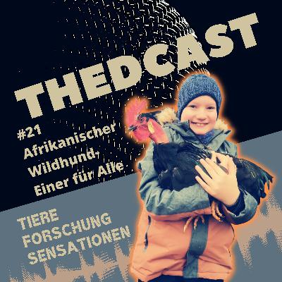 Afrikanischer Wildhund