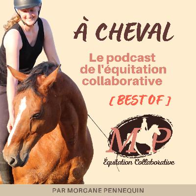 145. BEST OF [interview] Pas de cheval pas de pied avec Gwen de En équilibre sur tes 4 pieds