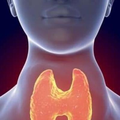 Historia clínica y patrones funcionales