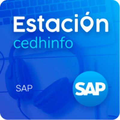 Introduccion al Mundo de SAP Introduccion al Mundo de SAP