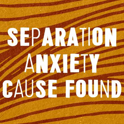 Separation anxiety cause found!