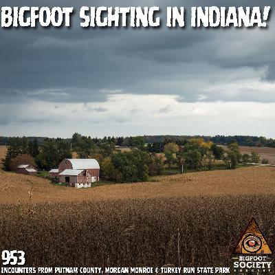 Bigfoot Sighting in Indiana: Terry’s True Encounter near Morgan Monroe & Putnam County Bigfoot Sighting in Indiana: Terry’s True Encounter near Morgan Monroe & Putnam County