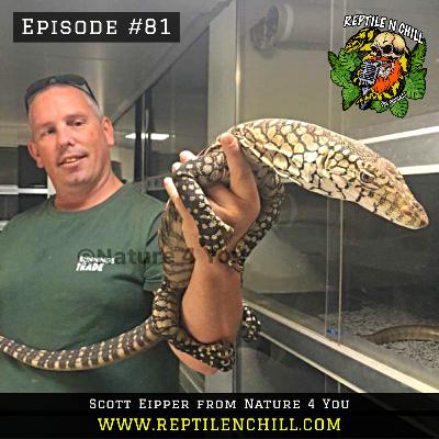 Scott Eipper Author, Herpetological Consultant and Wildlife Photographer - 81 Reptile n Chill Scott Eipper Author, Herpetological Consultant and Wildlife Photographer - 81 Reptile n Chill
