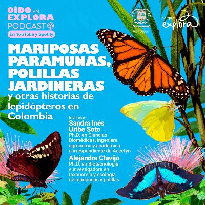 Mariposas paramunas, polillas jardineras y otras historias de lepidópteros en Colombia Mariposas paramunas, polillas jardineras y otras historias de lepidópteros en Colombia