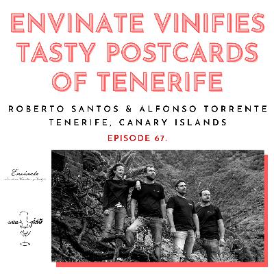 Ep. 67. / Envinate Vinifies Tasty Postcards of Tenerife (and more of Spain!)