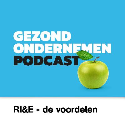 #3 - Wat levert de RI&E op?