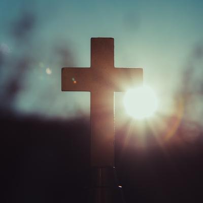 Ep 229 - You're Not Alone: Testimonies from Connect Groups