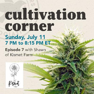 Cultivation Corner, Episode 7 with Shawn of Kismet Farm Cultivation Corner, Episode 7 with Shawn of Kismet Farm