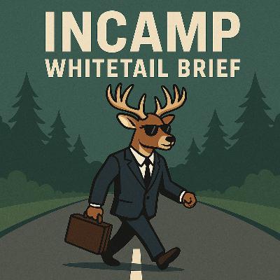 InCamp: Whitetail Brief #6 Scrapes, Acorns, and First Bucks with Steve Notebaert