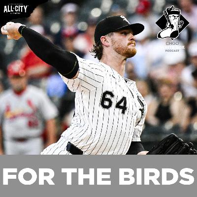 White Sox DESTROYED at home vs Cardinals, Losing Streak Hits Six | CHGO White Sox Podcast White Sox DESTROYED at home vs Cardinals, Losing Streak Hits Six | CHGO White Sox Podcast