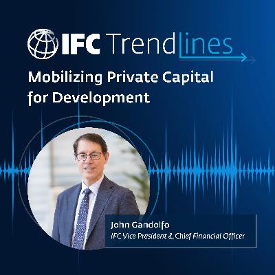Mobilizing Private Capital for Development