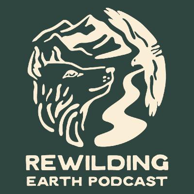 Episode 153: Preparing For A Catamount Homecoming in the Northeast