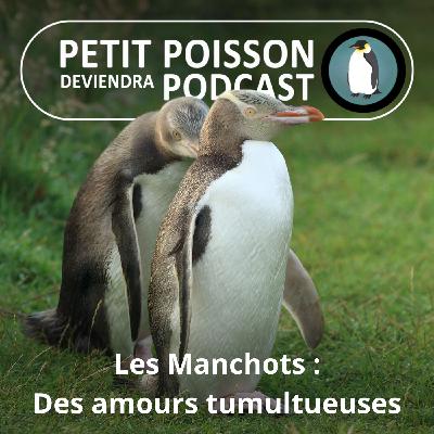 S05E16 Les Manchots : Des amours tumultueuses S05E16 Les Manchots : Des amours tumultueuses