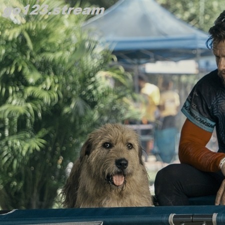 Arthur the King 2024 complet en streaming VF et Vostfr