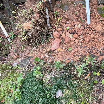 #19【輪島ボランティア】泥撤去しんどかった！