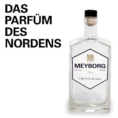 Folge 8: Tage der Entscheidung Folge 8: Tage der Entscheidung