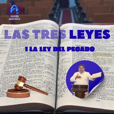 LA LEY DEL PECADO LA LEY DEL PECADO