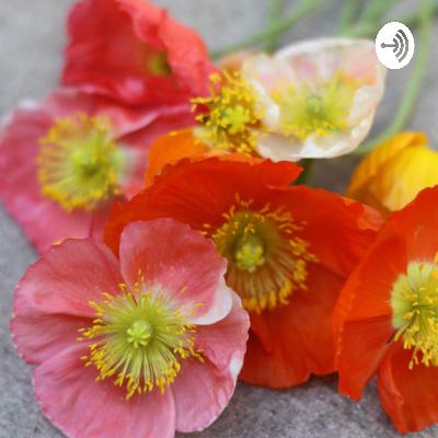 023: Why We Decided to Become Small Scale Flower Farmers
