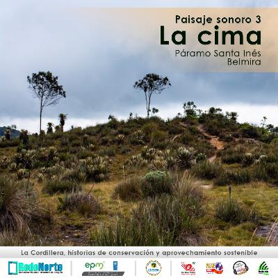 Paisaje sonoro 3 / La cima
