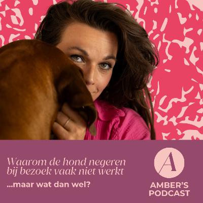 Waarom de hond negeren bij bezoek vaak niet werkt …maar wat dan wel? #156 Waarom de hond negeren bij bezoek vaak niet werkt …maar wat dan wel? #156