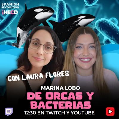 HECD! 567 Marina Lobo - Peinado pide imputar a Bolaños + ¿Alto al fuego? + Orcas y bacterias, con Laura Flores