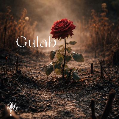 Gulab 🥀 Gulab 🥀
