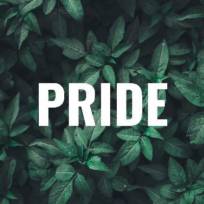 MP4 Book Talk - Adin Alexander