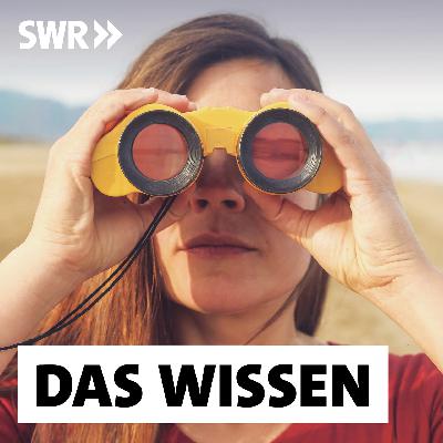 Wer wird zum Serienmörder? – Sextäter, Auftragskiller, Todespfleger - Das Wissen | SWR