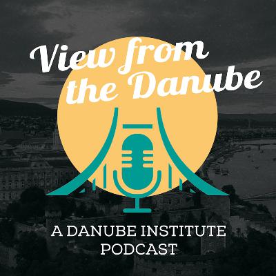 After Kirk: Curtis Yarvin on Vengeance | View From The Danube #10