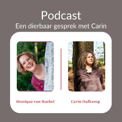 #40 Scheiding, overlijden, kanker: Monique van Roekel deelt haar verhaal